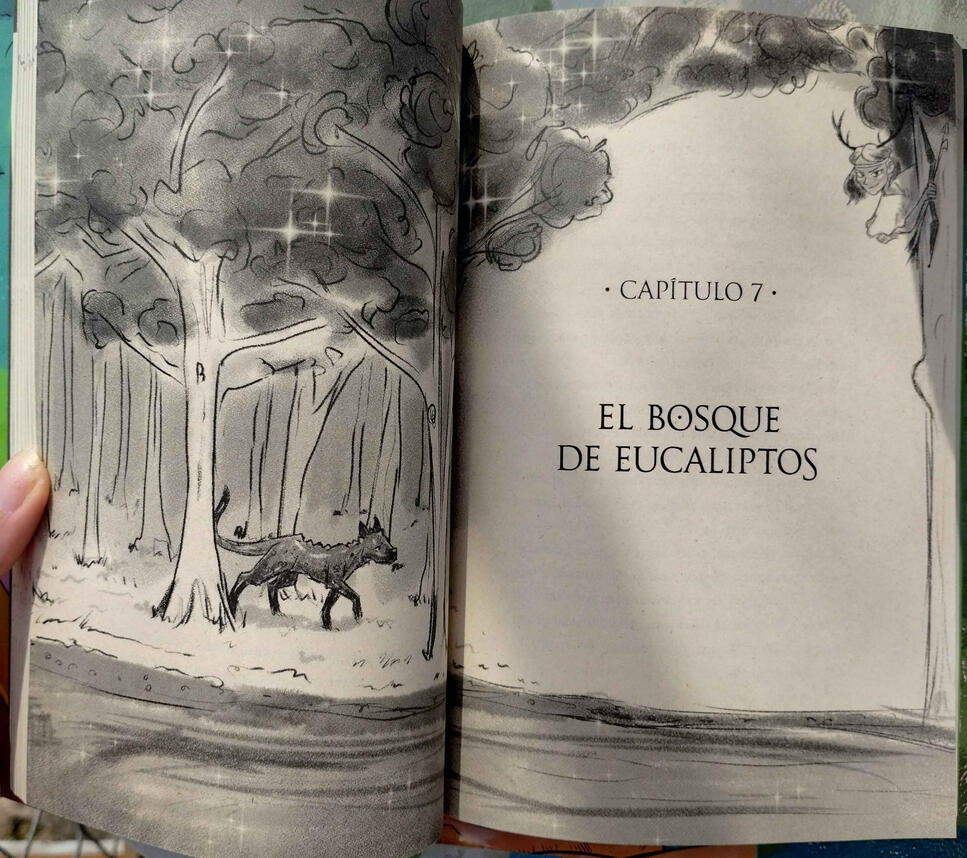 (Interior Illustration)